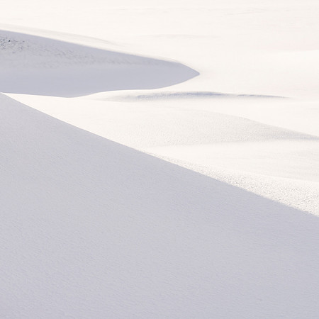 Shadows