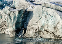 Glacier snout pink, 2019