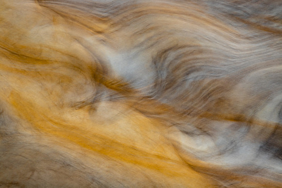 Sleeping Fox turned to Stone. Close-up POTY 2022 - shortlisted