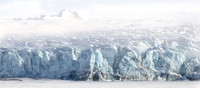 Glacier in one of the fjords of Bellsund, Svalbard