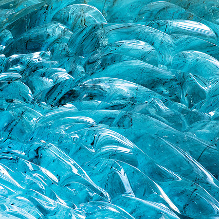 Shoal of Fish