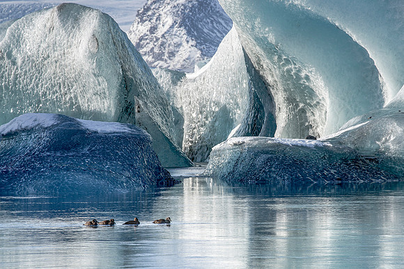 Icebergs floating on Jökulsárlón (2)